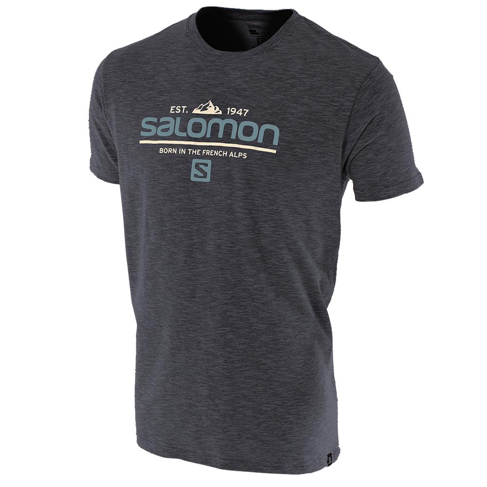 SALOMON VISIONARY SS M Philippines - Men's Tee Shirt - Grey | 256847-PKA
